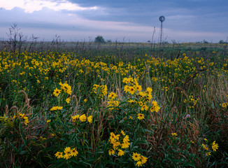 644-55 Windmill on the Prairie