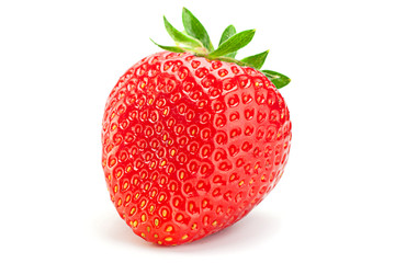 Strawberry fruit closeup
