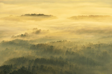 Fototapeta premium 빛내림