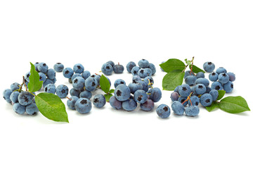 Blueberries with leaf