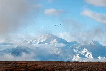 Photo sur Plexiglas Denali Denali with wild gooses