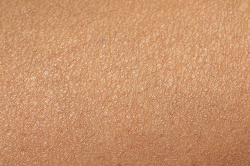 human skin, caucasian women skin in macro close up, texture background