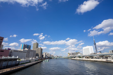 隅田川の風景