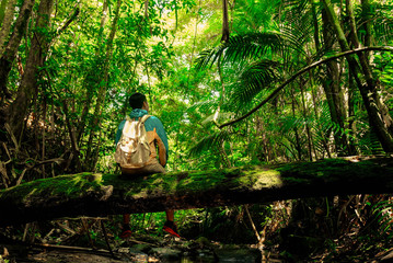 Man sitting on old trunk tree there is cover moss in rainforest with backpack in tropical forest concept summer vacations outside alone into the wild of Thailand,Phang Nga,Koh Yao Yai