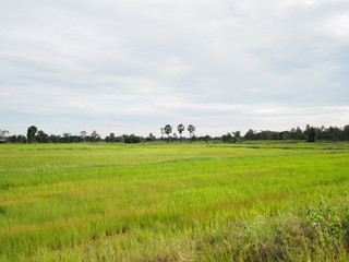 Obraz premium OLYMPUS DIGITAL CAMERA