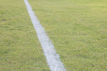 green grass field in soccor stadium close up