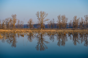 Deciduous forest and river in the countryside.