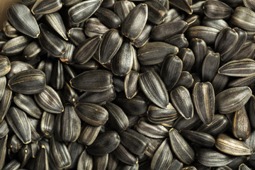 organic sunflower seed for background uses