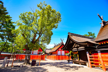 住吉大社 大阪府 日本
