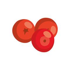 season autumn fruits isolated icon