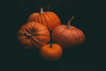 Photo of four orange pumpkins on black background, halloween celebration.