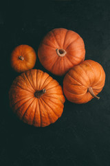 Photo from above of four orange pumpkins on black background, halloween celebration