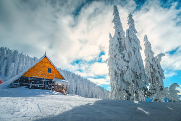 Ski resort with snowy trees, Poiana Brasov, Carpathians, Transylvania, Romania