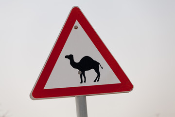 Big nice road sign attention camels
