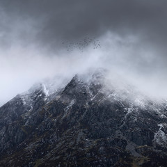 Stunning detail landscape images of snowcapped Pen Yr Ole Wen mountain in Snowdonia during dramatic moody Winter storm with birds flying high above