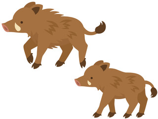 歩くイノシシ夫婦のイラスト