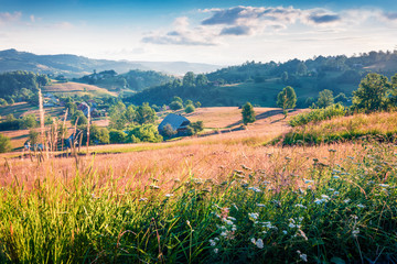 Sunny morning scene of Rogojel village. Exciting summer landscape of Cluj County, Romania, Europe....