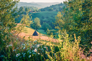 Colorfuul morning scene of Rogojel village. Fabulous summer landscape of Cluj County, Romania,...