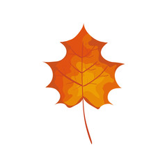 season autumn leaf isolated icon
