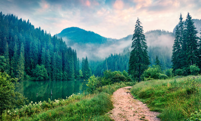 Misty morning scene of Lacu Rosu lake. Foggy summer sunrise in Harghita County, Romania, Europe. Beauty of nature concept background. - Powered by Adobe