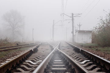 Obraz premium Empty railroad tracks on misty foggy day in autumn