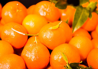 Closeup of ripe mandarins