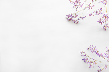 Obraz na płótnie Canvas Dried flowers on a white background