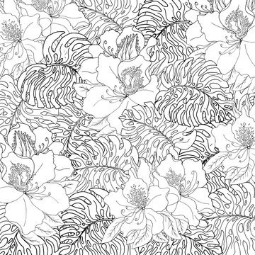 Seamless pattern of exotic white monstera leaves and azalea flowers with black outline.