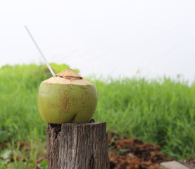 coconut fruit isolated on wood background