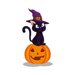 cat with hat witch in pumpkin halloween