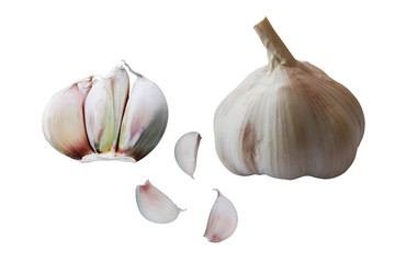 group of  fresh garlic in white background