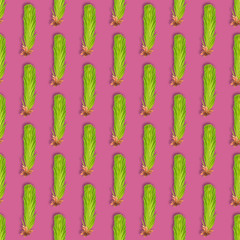 Young spruce branch isolated on pink. Fir tree branch seamless pattern on pink.