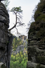 Bastei