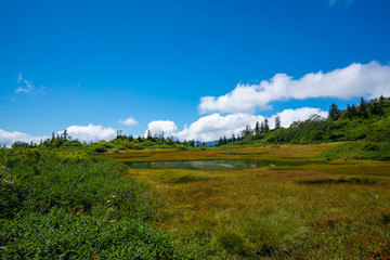 高谷池ヒュッテから火打山への登山道で池沼を望む風景