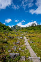 火打山への登山道の途中にある木道の風景