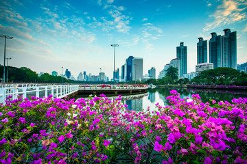 beautiful pink paper flower and bangkok skyscraper background