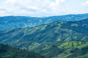 Obraz premium Beautiful mountain and agriculture field landscape