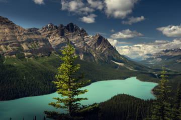 Beautiful Peyto Lake, Banff National Park, Alberta, Canada