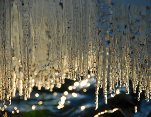 厳冬の湖畔のつららが、夕日の逆光で綺麗に輝くクローズアップ写真