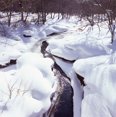 森のなかに流れる小川と真白や雪が覆った真冬の風景