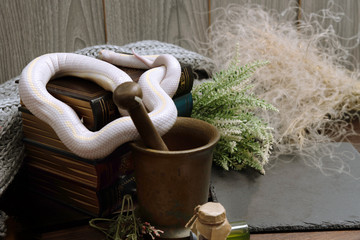 White American royal snake on an alchemical bronze mortar on the background of witchcraft...