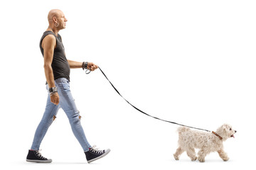 Hipster man walking a small white dog