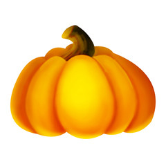 Pumpkin illustration. Bright pattern of pumpkins on a plain background.