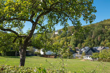 Obstwiese in kleinem Dorf im Sauerland