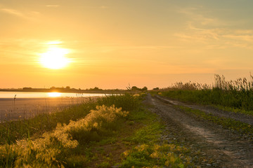 The road near the river goes into the distance. Sunset, road and lake.