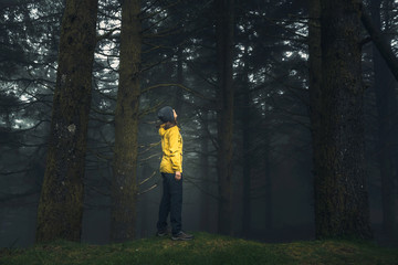 Traveler looking to a forest