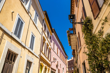 A narrow alley in the city of Amelia, in Umbria. The windows with closed and open shutters, the doors and the flowered balconies. A climbing plant on the wall.