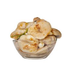 Fermented homemade foods - salted mushrooms in a glass plate on a white background. Isolated