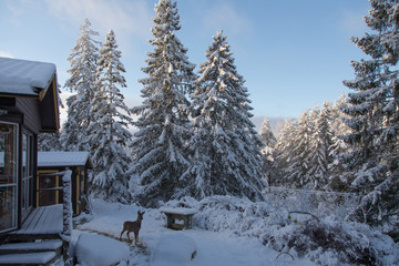 Winter landscape with trees and deer.
