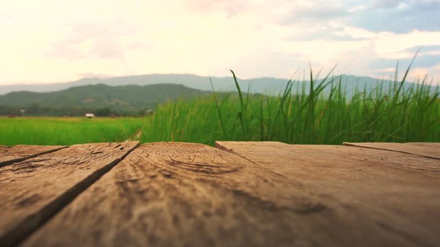 old brown wooden floor beside green rice field in the evening on Thailand for use video background, 4K Resolution
